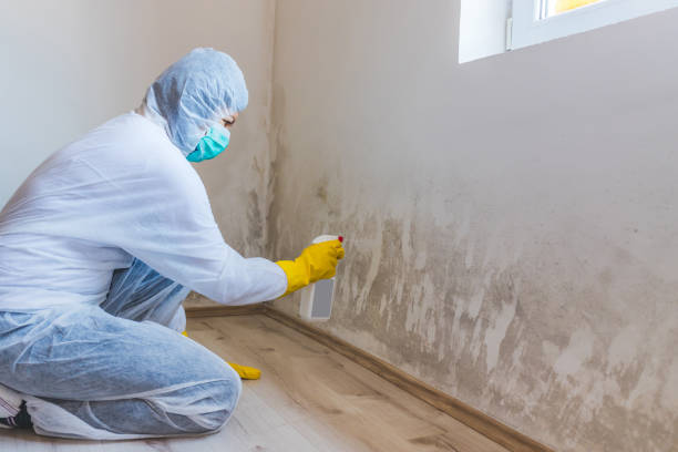 Licensed Attic Mold Remediation service in McLean, VA - Car Mold Remediation